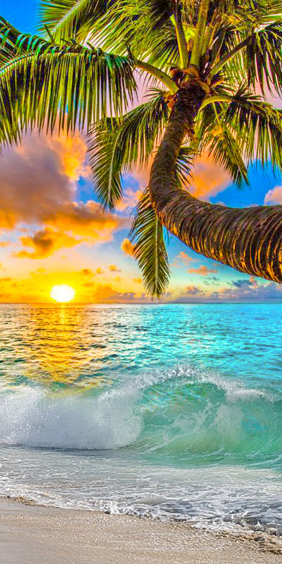 �������� ����� - �������� ����! �������� �������!