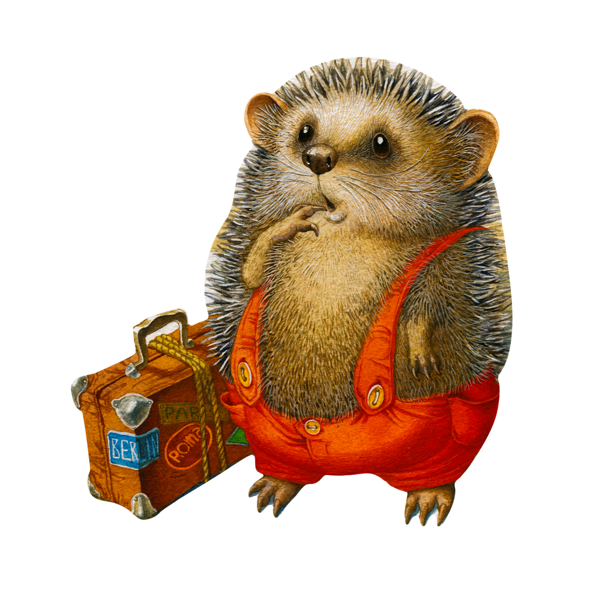 ���� �� ������� ���������. ����-��������������.