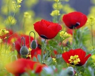 ���� �� ������ - ��� ������� ����� ������ ���������� ������ ����! �������� ����� - ������ ������ ���!