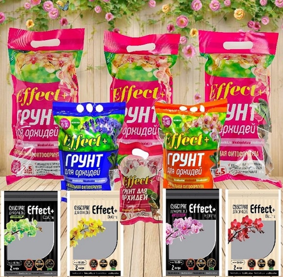 �ӣ ��� �������! � �� ������ - ���������, �����, �����, ��������, ���. ����� ������� �� ��������� ����� - ������������� ����� � ���� ��������. ����� �������!