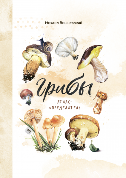 ���� ������� ����� �����?)) ����� �����-������������. ���� �� ����� (����) - 561�.