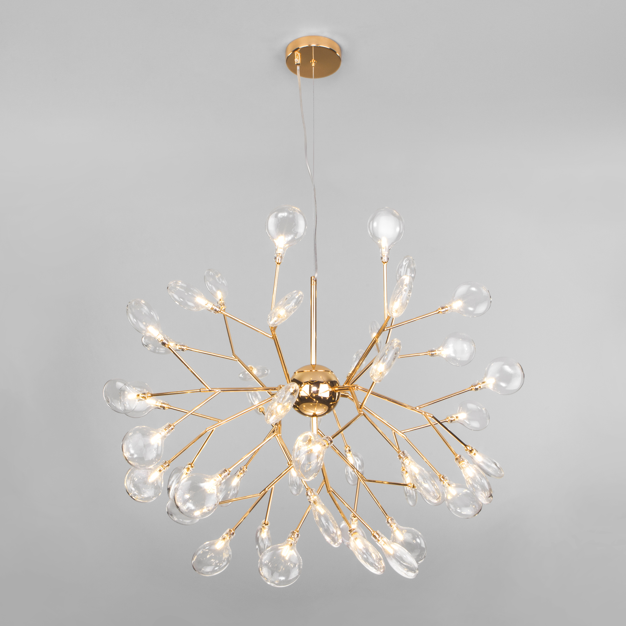 C��� ������� 13/07 ������. �������� �������. ������� ����� �� �������� �� ��������� ���������/ *** ������� ������ !