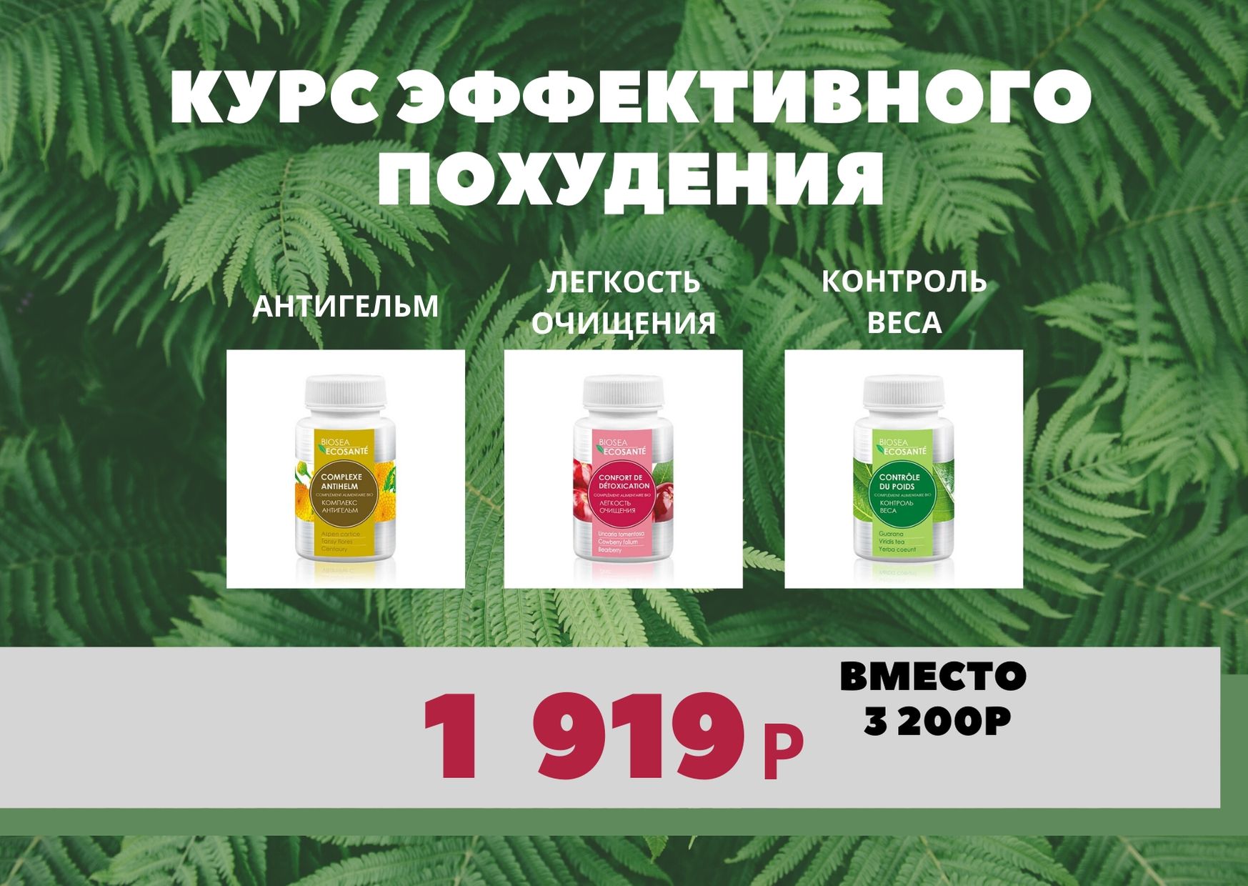 ����� 1 ���� ����! ���� ������������ ���������! ���� ������ 67% ����� 1919� ������ 3200�. ��� ������� 1 ��������� - �� ���������! ������ �������� � ������, ������� � ������� ������! 