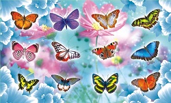 ���� �� 24.07. ������������� ��������� (���������, � ����������, ����������) �� 6 ���., ��������� �������, 3D-������������. �������, ���������, �������! ������ � ���������� � ��� ����������.