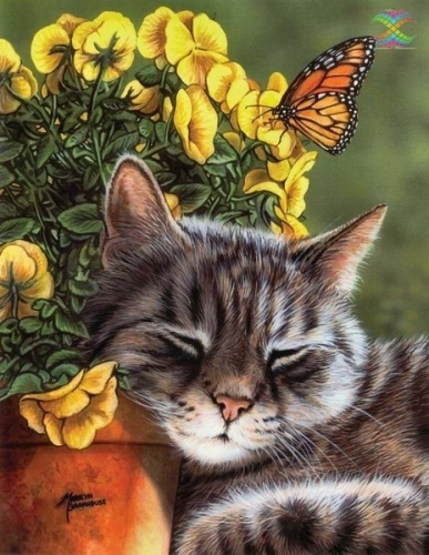 �������� ����� ������ - �������� �����! ���������� �������)