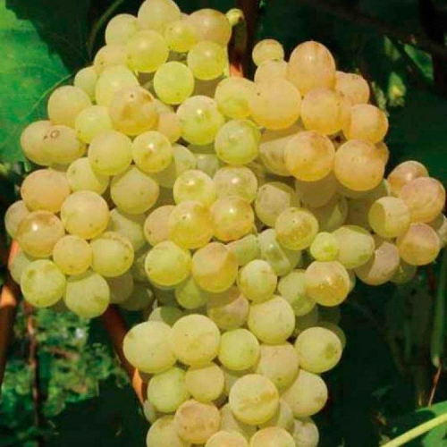 ���� �������. �������� 5.