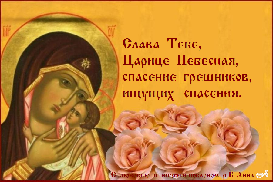 ������������  ��� !   ������  �  ��������������   ������  ������ !