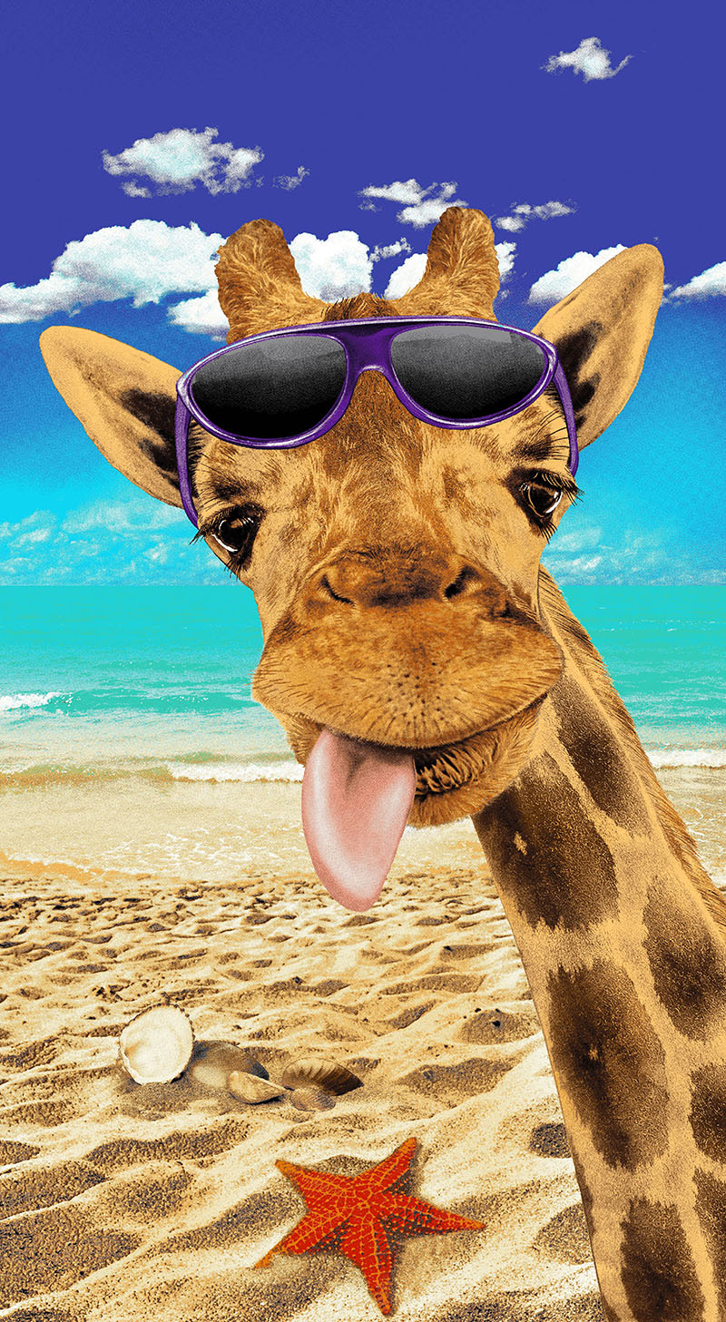 ������� 29.07. ������� ����� ������ �� ����*����, ���������, ���������-44. ������ ����� ������ �� ����������� ���.