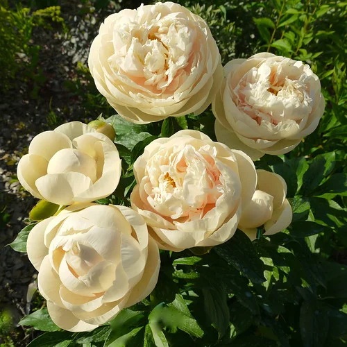 ���� �������. 15.08 ����� ��� � ��� �� ������! ������ ����� ������ �� ���������! ��������� �� �������