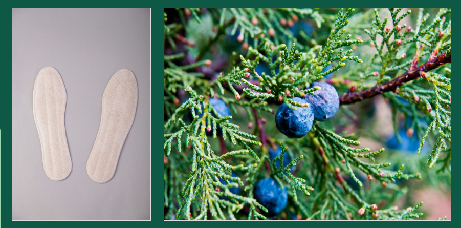 ���������-������� ������� - �������� ����� ���! ������� ��� ���� � ������� ��� ���!