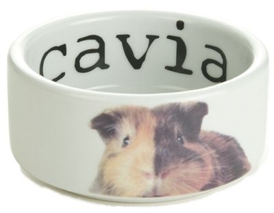 ������ ��� �������� � ����. � ����� ������� ��������������.���� 09.08.2020