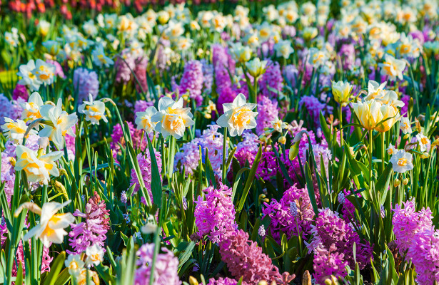 ���� �������. 15.08 ����� ��� � ��� �� ������! ������ ����� ����������, ��������, ��������� �� ���������! ��������� �� �������