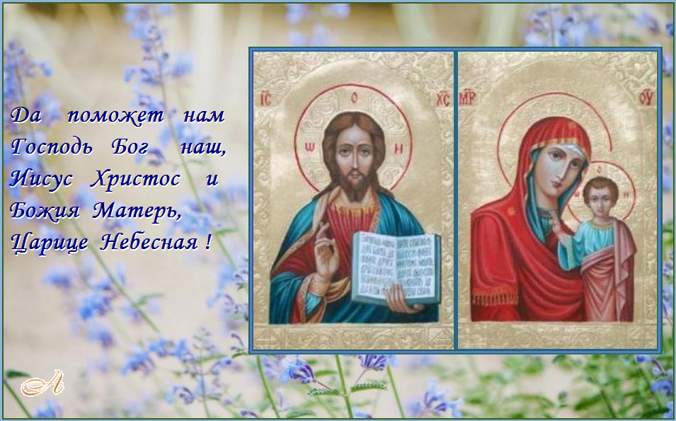 ������������  ��� !   