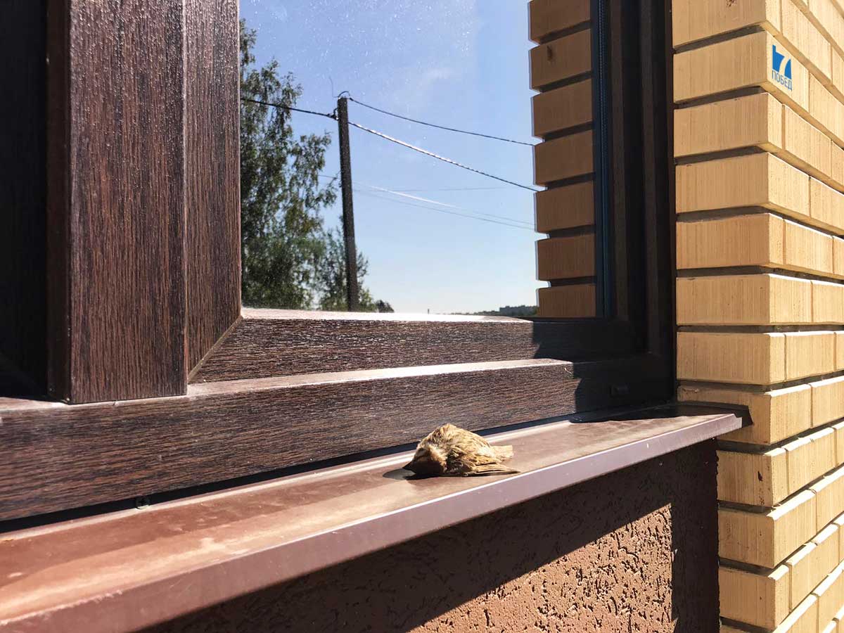 ������� ������������ � ����� ���