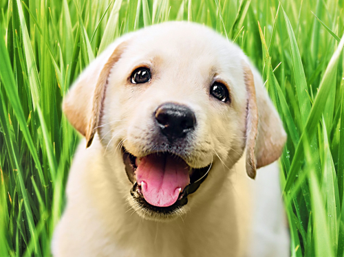 ������� �� �������, ������ ������� ����! ���������������!