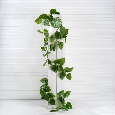 ����� ��  �����, �� 145 �!!!