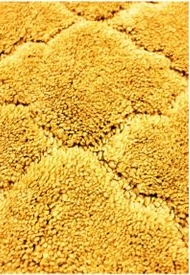 ���� �� 28.08. �������� ����� � ������ ��� �������� ����������. �������, ������, �������, ������� �����-15.