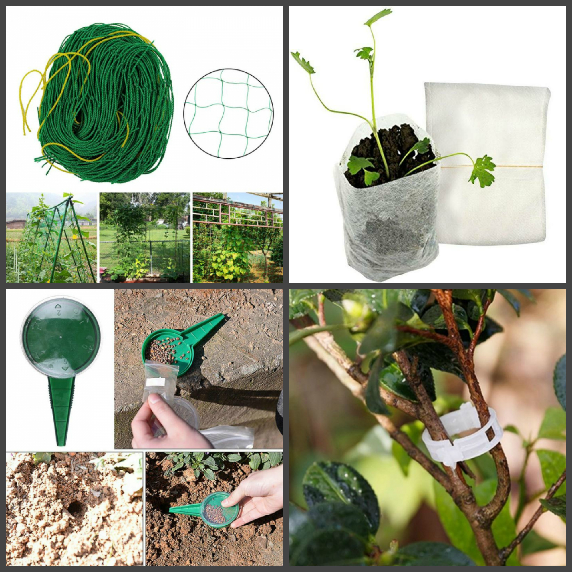 ���� �� 10.08. ������������ �������� -������ ��� ������! -������ ��� �������� �������� (����� 50 ��). C���� �������-85.05�.