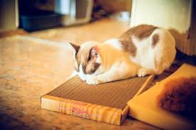 [b]���� �������.���������� �������. ����������� �������� ��� �����, ������� � �����. ������� ���� ������� � ���������� �������, �������, ������.������� - �������� ��� ���������� ������� 