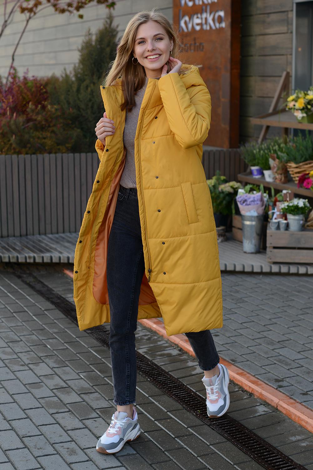 TwinTip. ��������� ������� �������� ��������, ������, ������, �����, ��������/ ������� + ����������