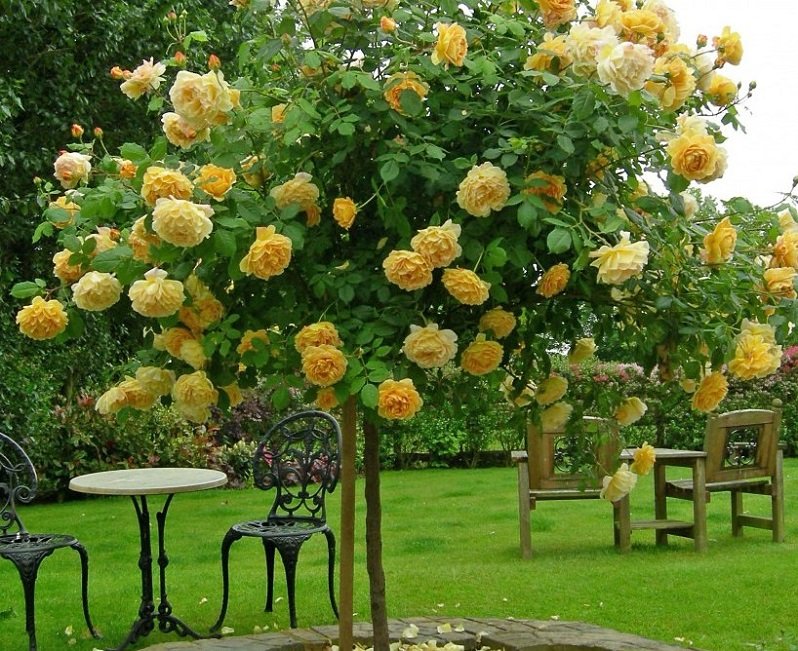 ���� �� �������. �������� ��������� (��������, ������) .��������� �� ����� 2021�