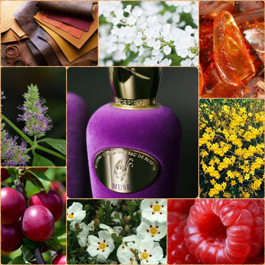 �������� ������ Xerjoff SOSPIRO MUSE 