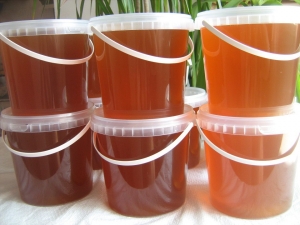 ���� �� 25.08. ���������� ��� ����������� � ������������ � ������� ������. ������ 2020 �. ������������� ������� 170 ��� �� 1 �� !!!