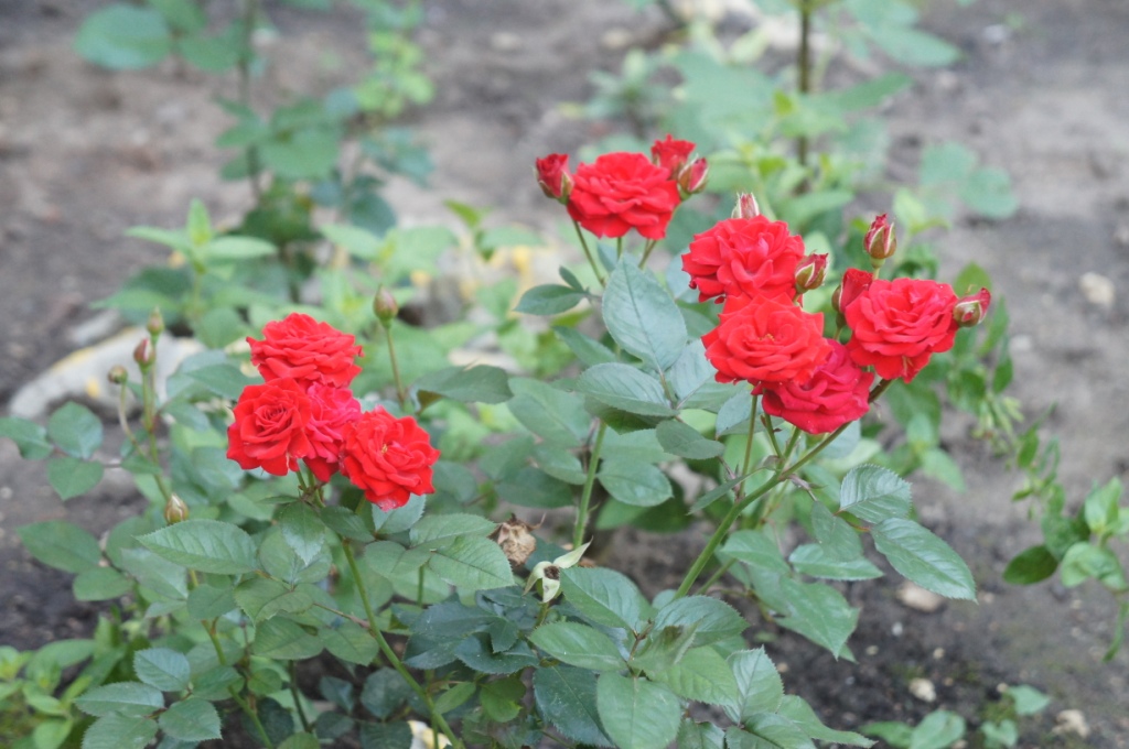 ����� ����� ������� ����� ��������� 7 ������� 20 ����