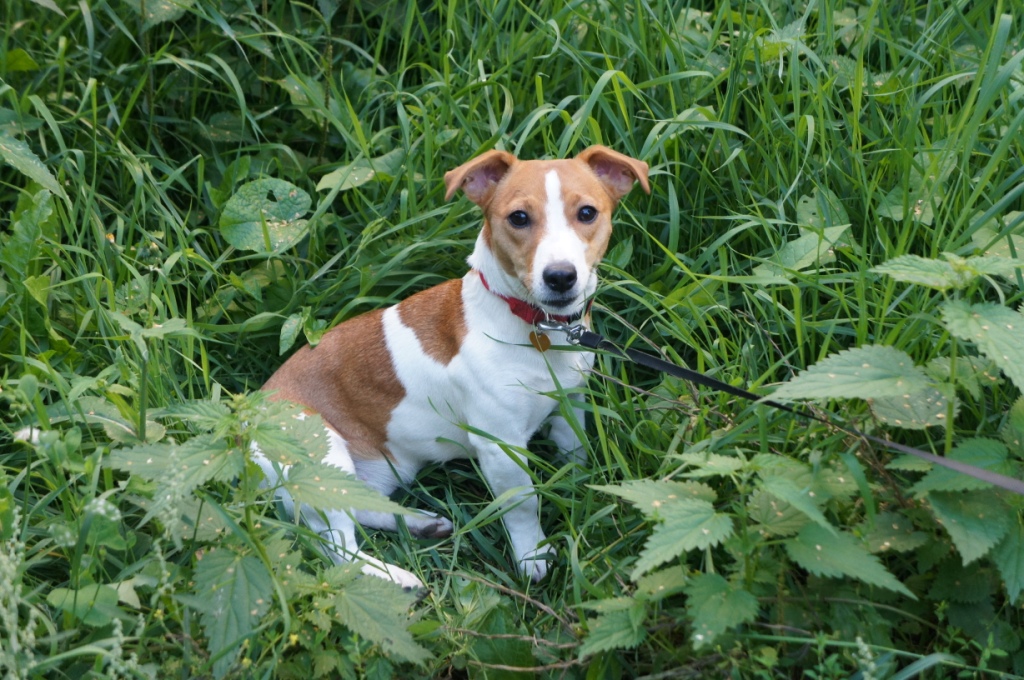 ������� ������ 7 ������� 20 ����