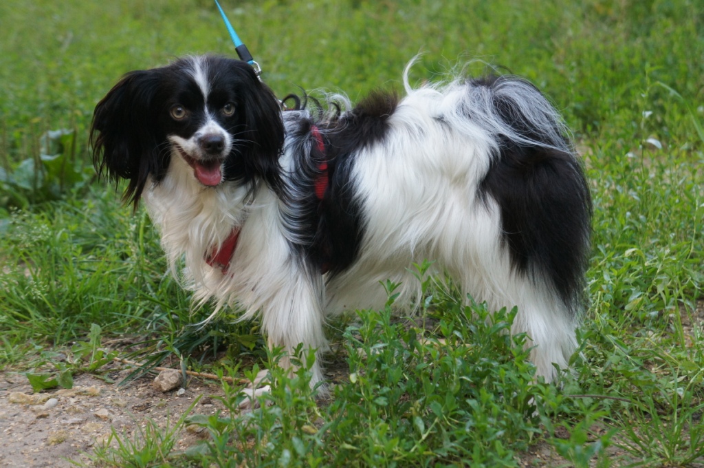 ������ 7 ������� 20 ����