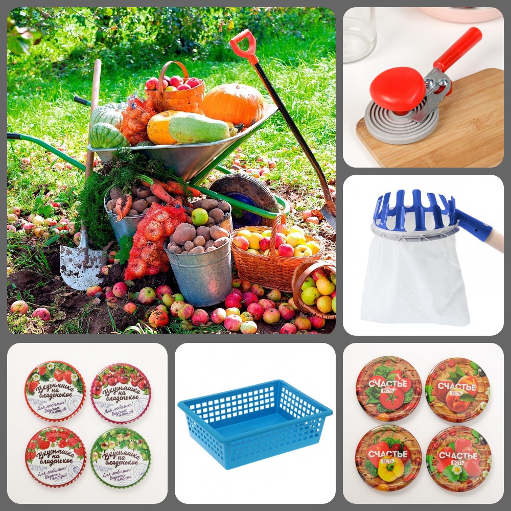 ���� ������� �� 12.08. ����-����:������ ��� ����� � �������� ������( �������, ����� ��� ��������, �������������)! ����������� � ��������� ( ������� ����������, ������)!-2