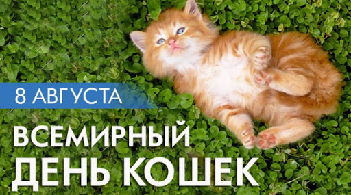 � ����������!