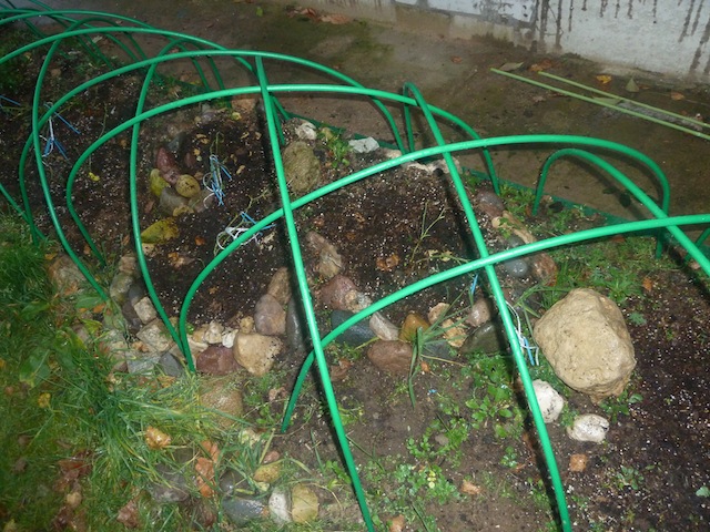 ���� �������. ������� ��������� ������ ����! �������� ����� ����������� ������� ����, ������, ���������� � ������ ���������. ���� ��� ��������� ��������! � �������, ����� ����������� ���� ��� ������� �� ���� ����� ������������� ���.