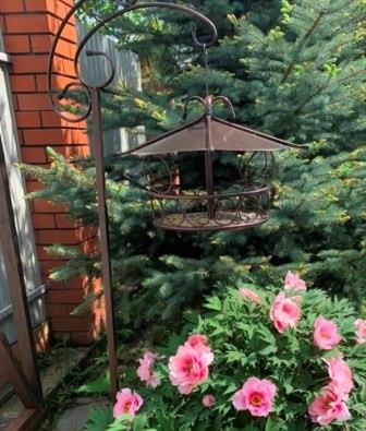  ������� ��� �������� �������: �������, ����, ��������������, ����� ��� ��������.��������� ���������, �� �������������.