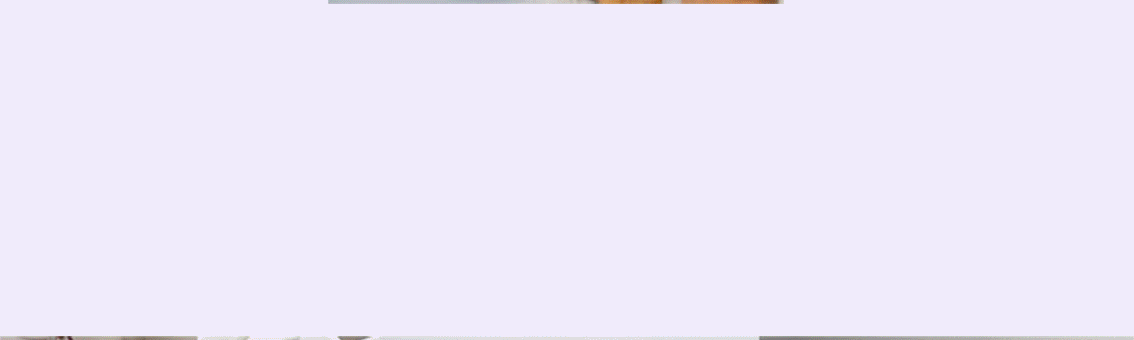 Berg*hoff ( �������) - ������ � �������� �������������� �������� ��������.  