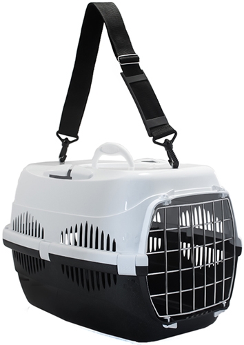 ������ ��� ����� � �����. ������� 15.09.2020