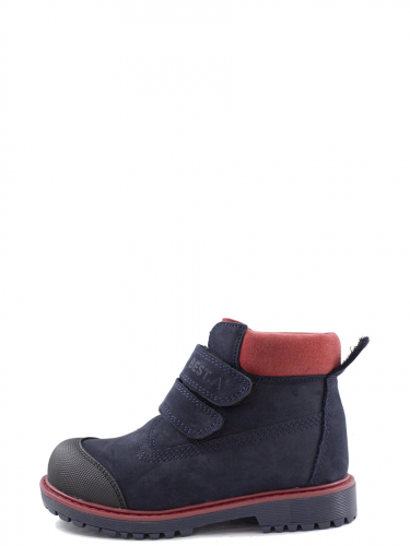 ���� �������. ����������� ������� - ����������� ��� ��������� � ������� �� �����! ����������� ����, �������������� �������! � 21 �-40 �.���� ����������� ������ ������.