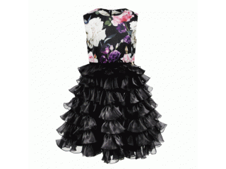 �������� ��������� ��� �������  � ������� ���������� �� De Salitto and Pinetti � STEFANIA.