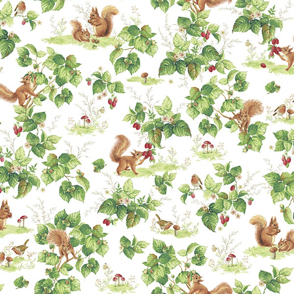 ���� �� 31.08.����*������ ����������� - 220 ��� ��������! �����, �����, ���� ������� ��������! ������, ̣�, �������-����������� ��� ������������ ��������! ��������� ���, ����������� ������� �����������!�� ������� � ��� �����. ������� ������ ������