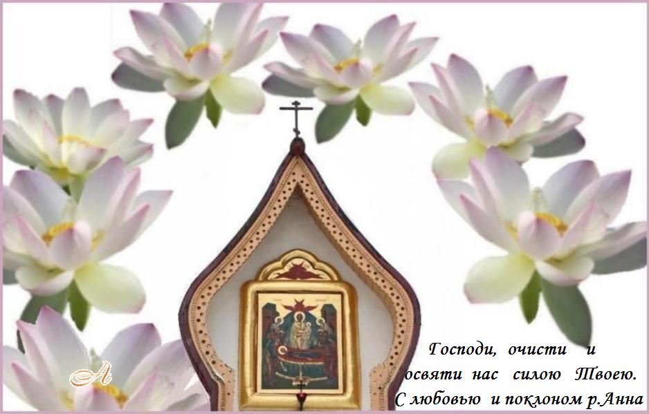 �������������  �����,  �������   ������� ������ ����������� ������� ��������    �������    � ������   ������,  �����     ��  ��������   ���,   ������� !