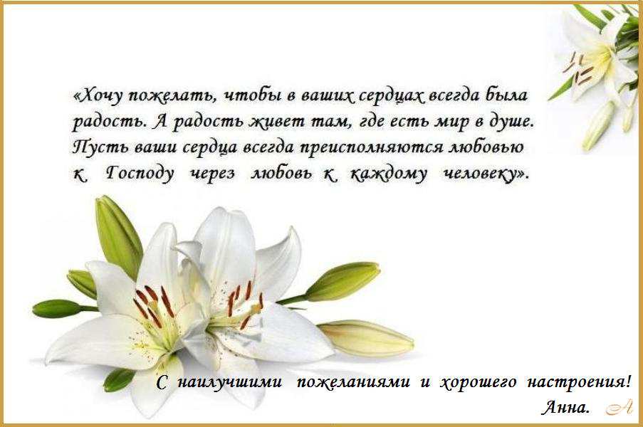 �  ����������  ���� ! 