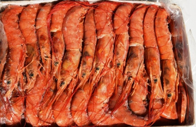 ���� �� 31.08. ������� ����������� ������������ � ����� ������� ���� � ������������� 69! � ����������� � ����� � ������� ������. �������������� ����, ������� ����,��������, ����������, ������, ����, ����, ������. ��������� ���� � ����� ����