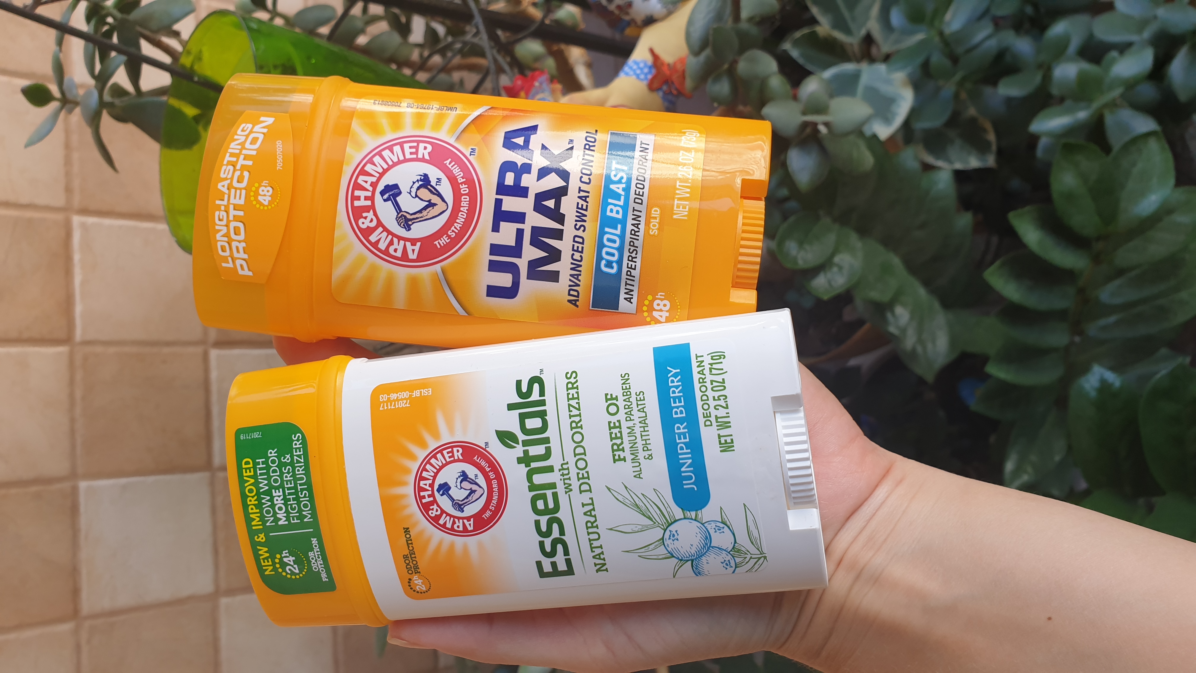 ��� ������ �����������!!! � ��������� �������� ��� ��������, ��������� � ��