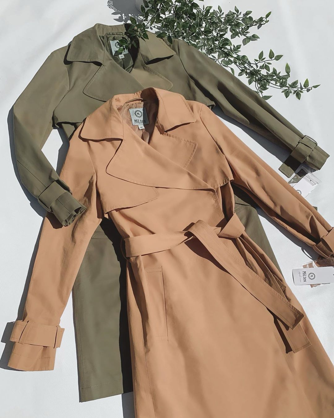 ������, �����, ��������� ������ � ������ �� ������� MiLtex. ����������� �������� � ����� �� ��������� �����. [/b]