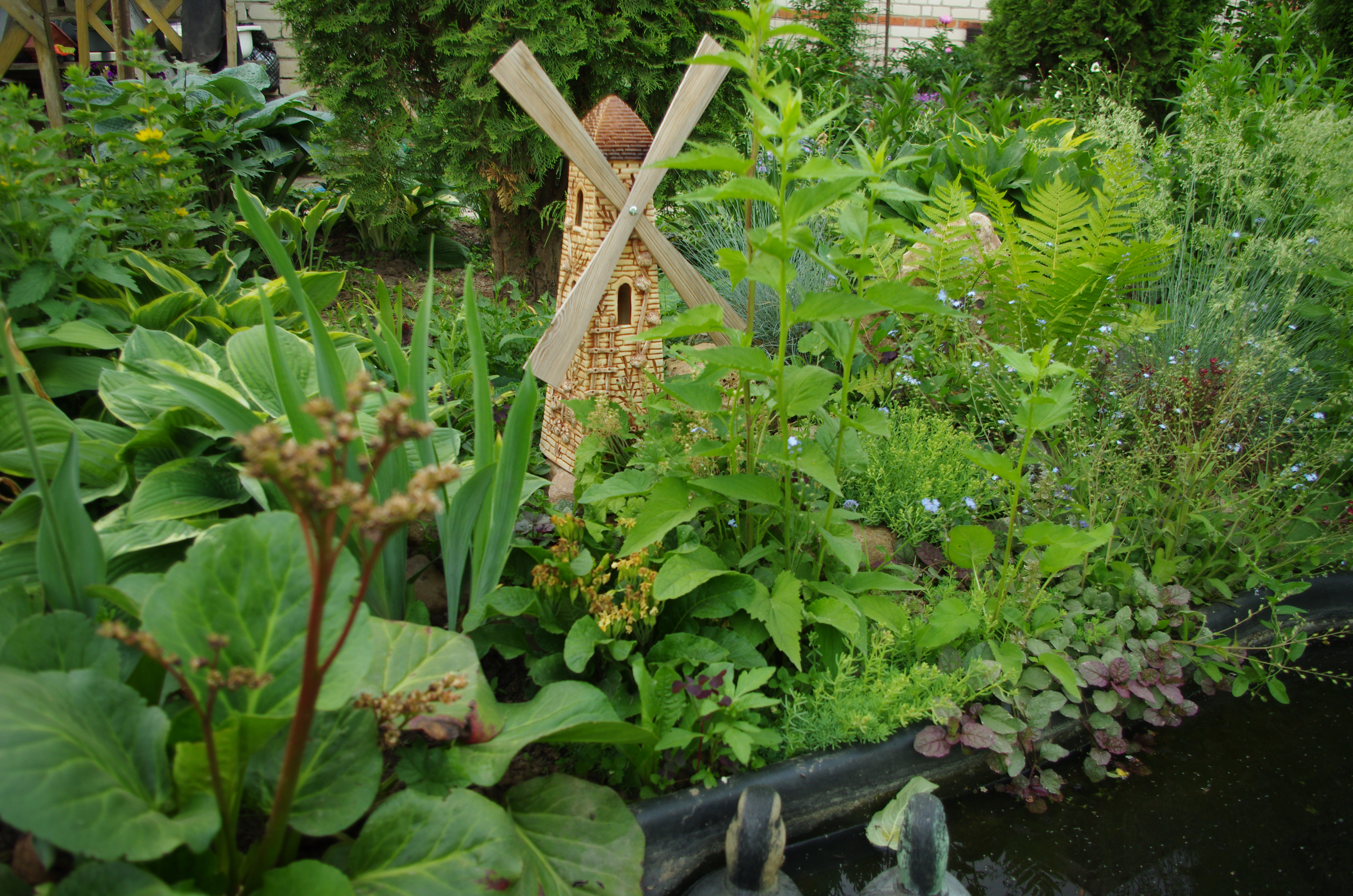 ���� �������. 05.09 ������ ��������! �����, ������������, ����������, ����������, ��������4