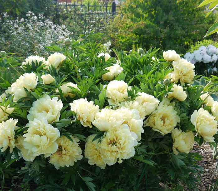 ���� �������. 05.09 �������� �������! ����� ��� � ��� �� ������! ������ ����� ������ �� ���������! ��������� �� �������.