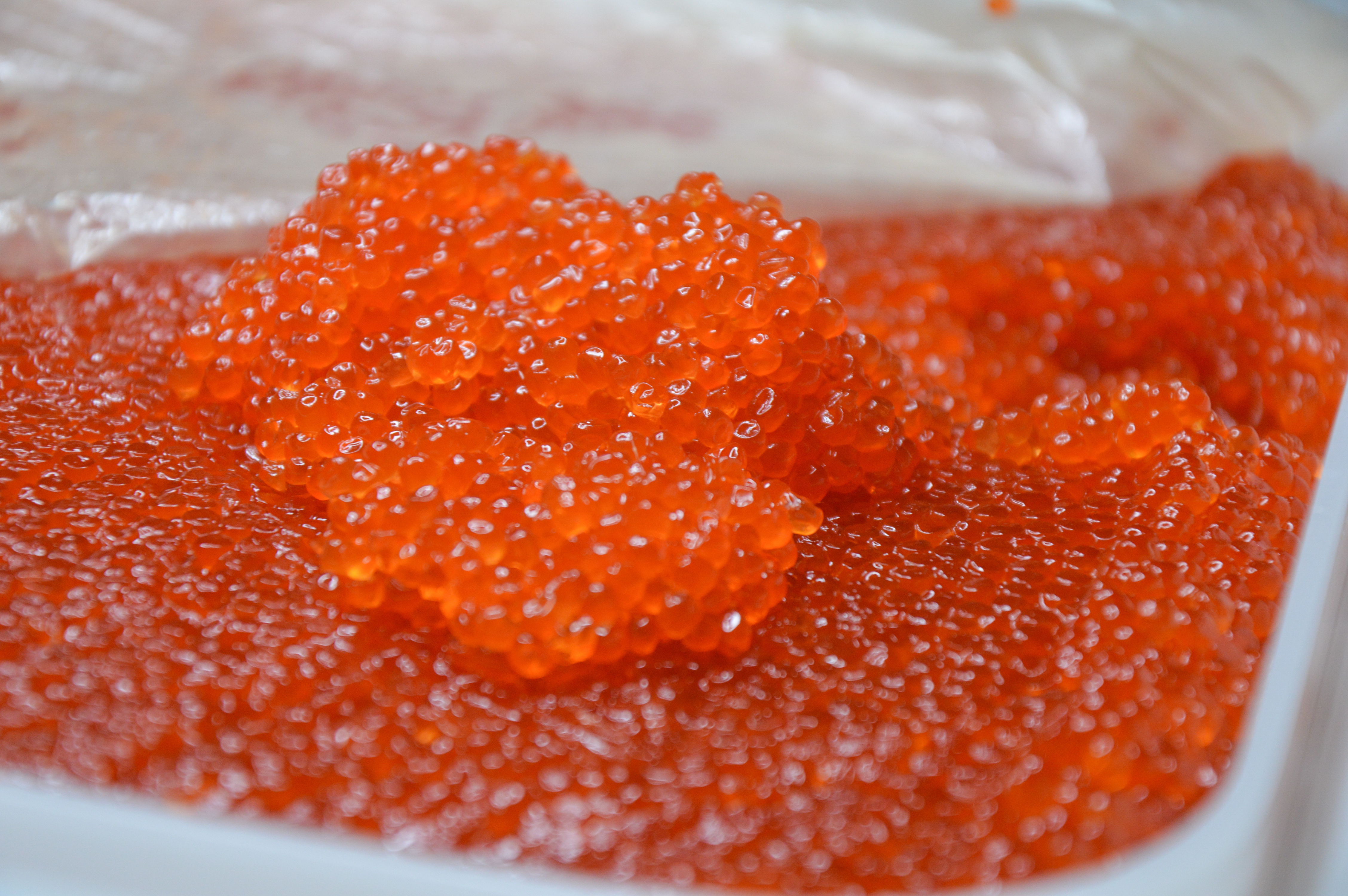 ���������� ������� ����, ������ 2020 ����. ���� �������, ����, �����