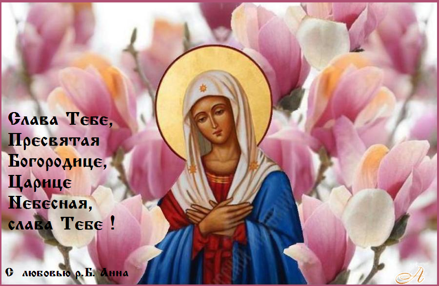 ����� ����, ��������� ����������, ������ ��������, ����� ���� !