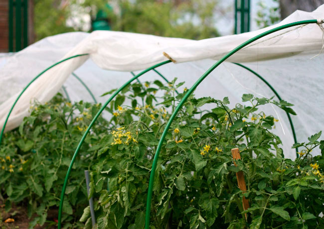 ������� ����,������� ,������������� ���������,�������������� � �����.���� � 2 ���� �������, ��� � �������.����� 10