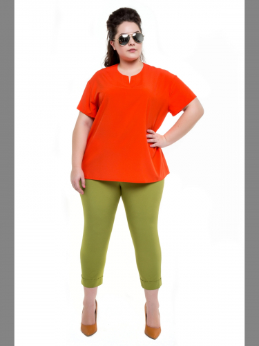 ����� ������ ������ ����� �� 350 ������